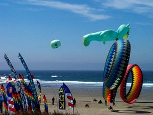 Manzanita Kite Festival