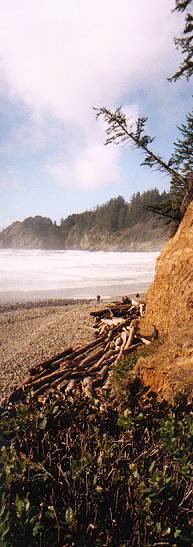 Short Sand Beach Oregon Directions