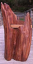 Cedar & fir bench